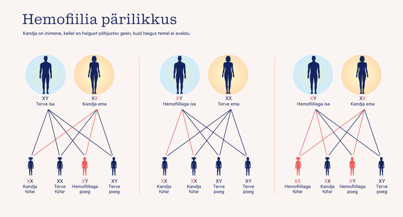 Kuna hemofiilia on pärilik haigus, saab arvutada haigust põdevate vanemate laste haigestumise tõenäosust.